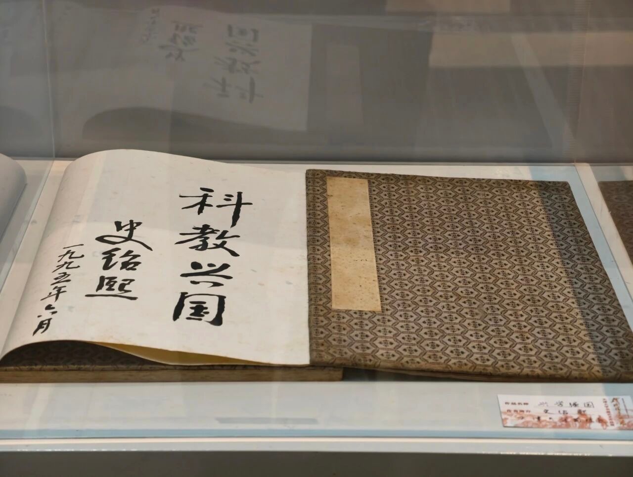 女同av